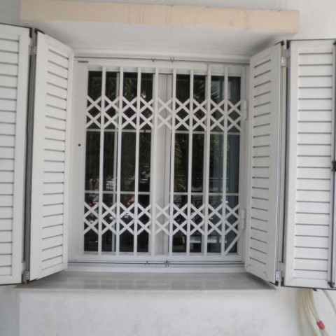Monolayer railing Security in Window